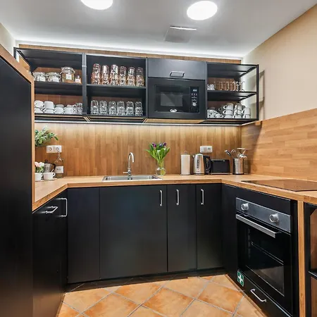 Charles Bridge Historical Apts By Michal&friends דירה