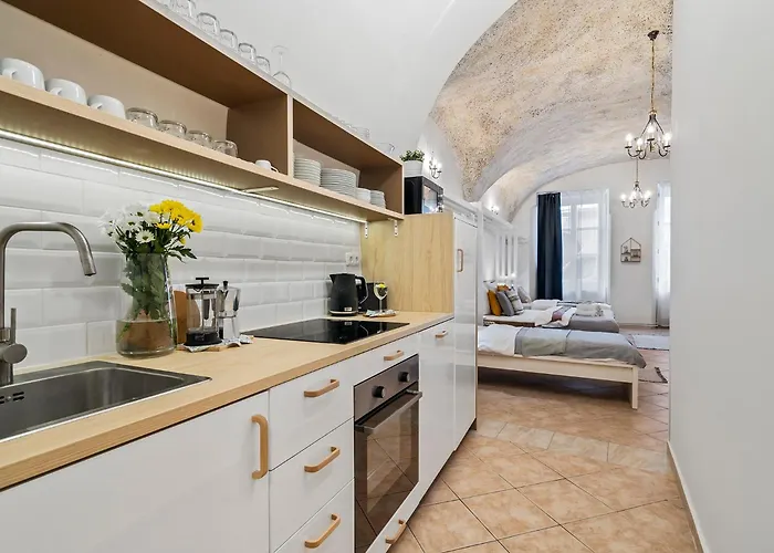 Charles Bridge Historical Apts By Michal&friends Appartement *